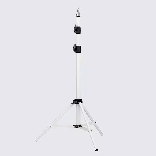 Wanbo Projector Floor Mount White