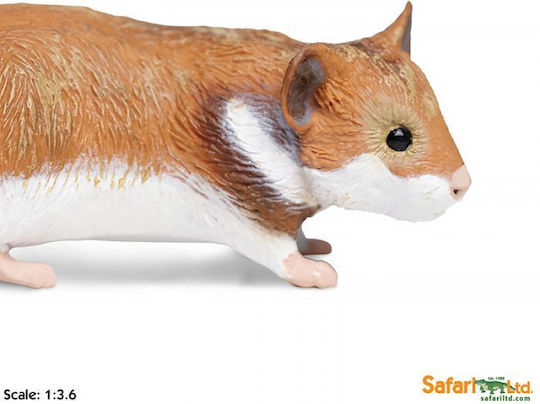 Miniature Hamster Hamster Safari Hamster