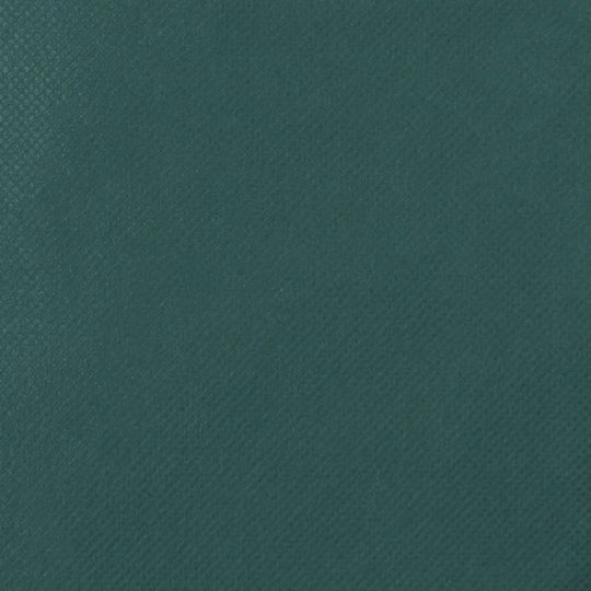 vidaXL 3203568 Antifreeze Cover 70gr/m² 1.55x1m Green