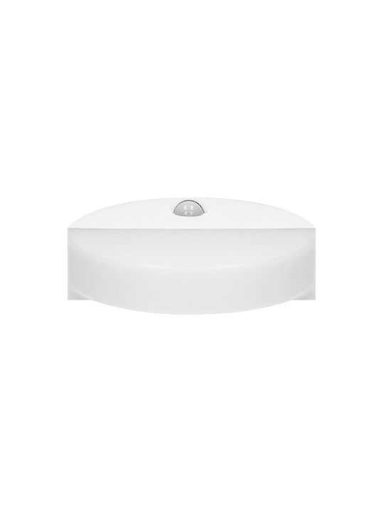 Adviti Επιτοίχιο Εξωτερικό Φωτιστικό LED IP65 10W με Φυσικό Λευκό Φως