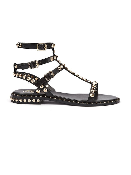 Ash Combo' Leather Women's Flat Sandals in Black Color