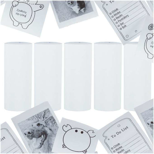 ikonka Compatible Ribbon White 5pcs (KX4216)