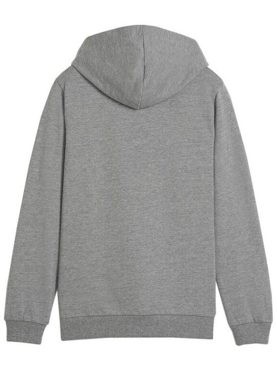 Puma Kids Sweatshirt with Hood Gray