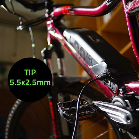 Qoltec Bicycle Battery Charger
