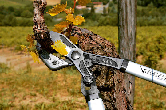 Hydrostab HS0550545 Foarfecă de Crengi