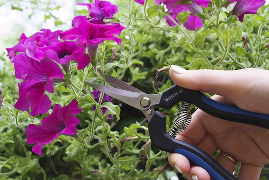 Hydrostab Gartenschere Kletterung