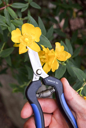 Hydrostab Gartenschere Kletterung