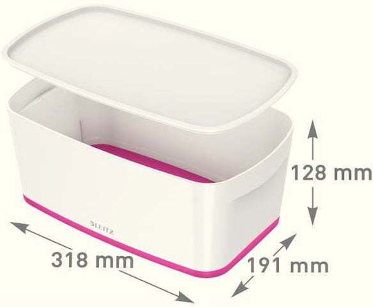 Leitz Plastic Storage Box with Lid