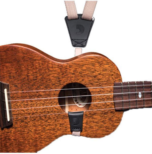 Planet Waves 19UKE01