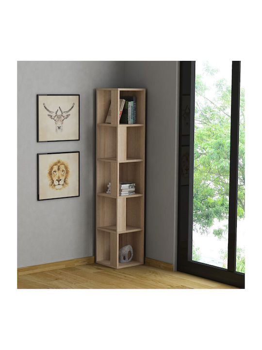 Bookcase Raphael 119-001144 Natural 31.5x31.5x159cm