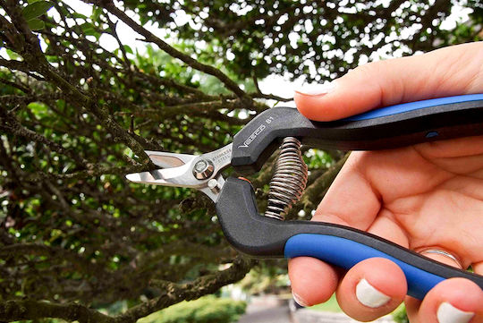 Hydrostab Traubenschere