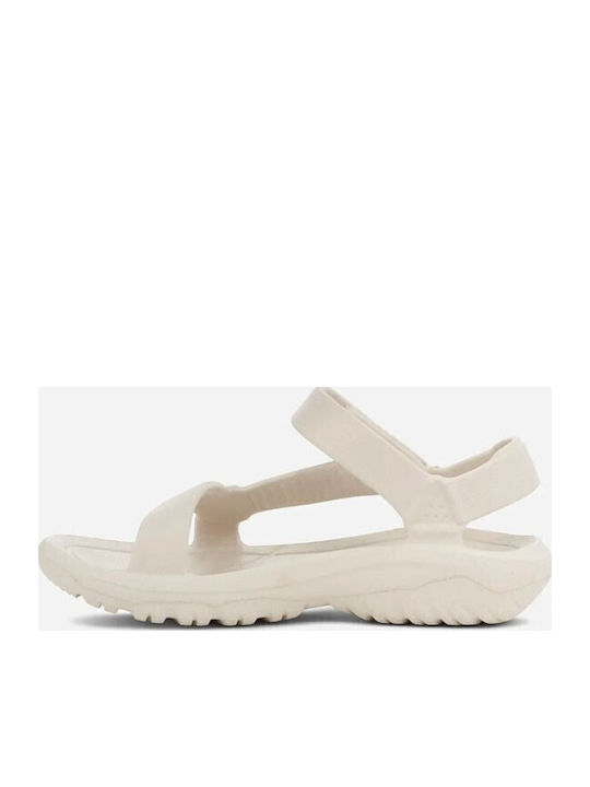 Teva