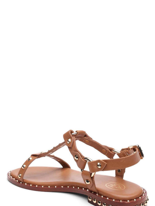 Ash Combo Leather Women's Flat Sandals in Brown Color