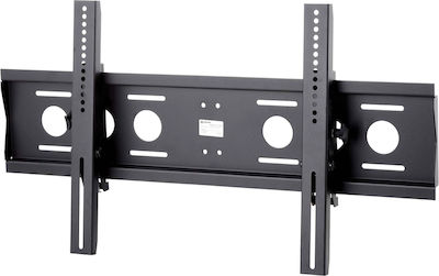 Edbak TWB2 TV Wall Mount Until 75" and 80kg