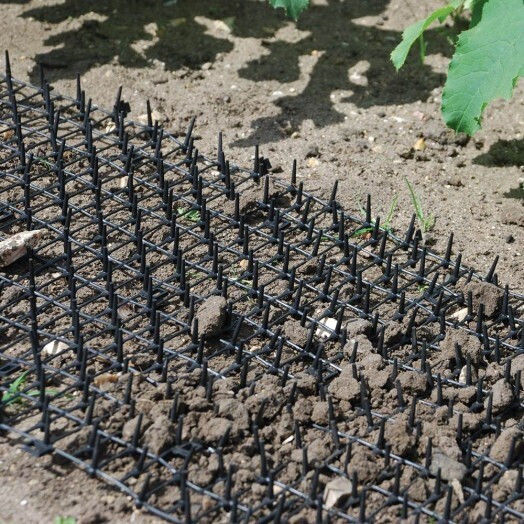 STV Dig Stopper Отблъскващо Котки 0.3x0.3м