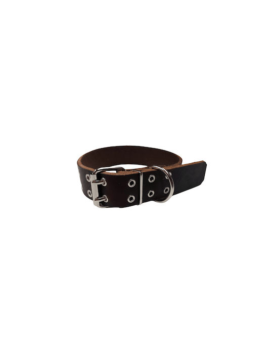 Pet Point Dog Collar