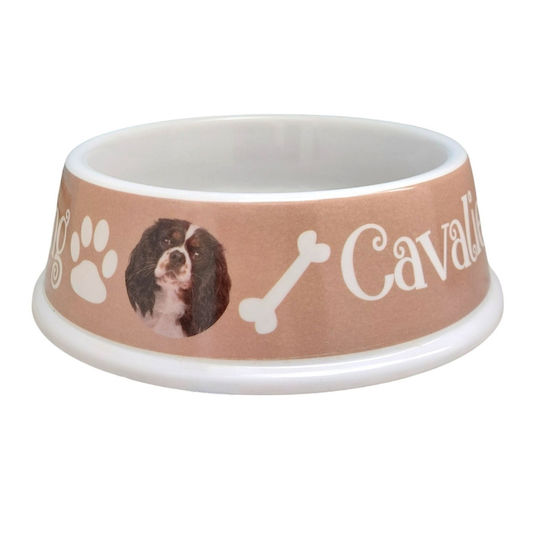 PVC Bol Mâncare & Apă pentru Câine & Pisică 700ml