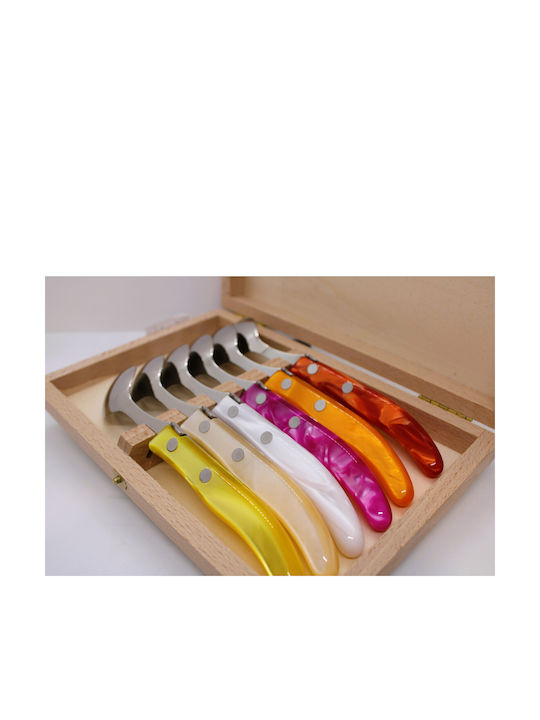 Claude Dozorme Laguiole Set de Linguri Desert / Înghețată Inoxidabile Multicolore 6buc