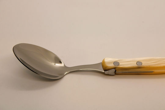 Claude Dozorme Laguiole Spoon Set Dinner Stainless Blue Green 6pcs
