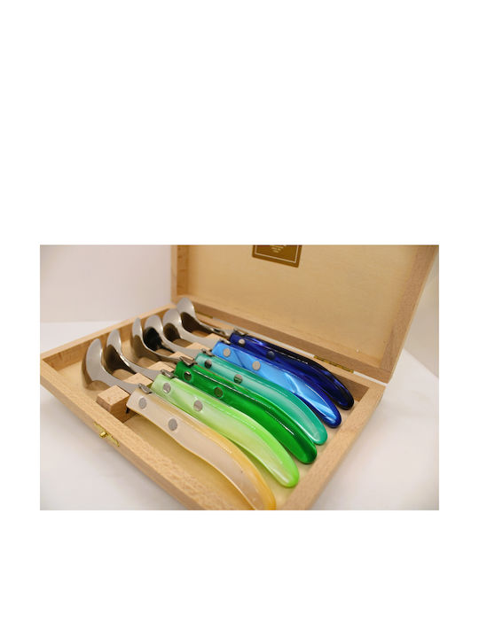 Claude Dozorme Laguiole Spoon Set Desert / Ice Cream Stainless Blue Green 6pcs