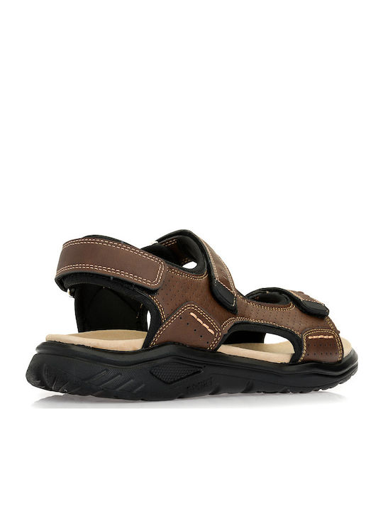 FAME