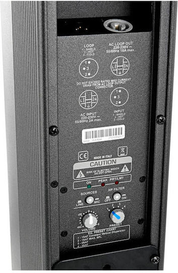 FBT VT1000 Pereche Autoamplificate Subwoofer PA Negru 400W 4"