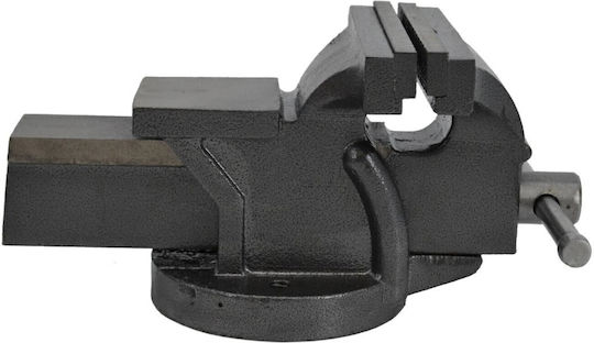 AWTools Fixed Vise Countertop Made of Cast Iron with Maximum Opening 125mm