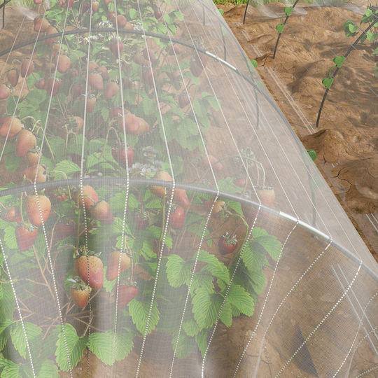 Outsunny Herbal Greenhouse Cover
