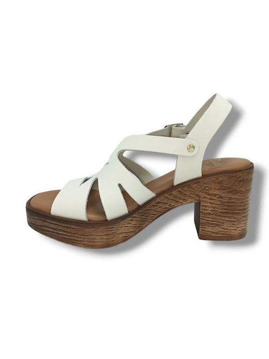 Studio Scarpe
