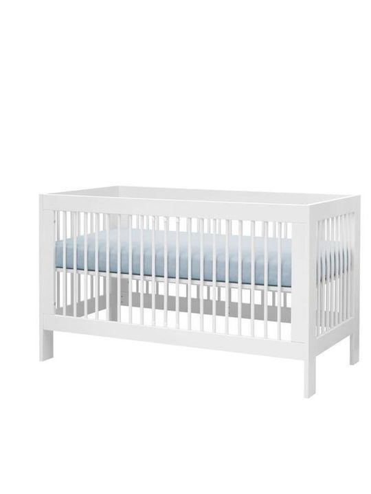 Pinio Basic 144x76cm