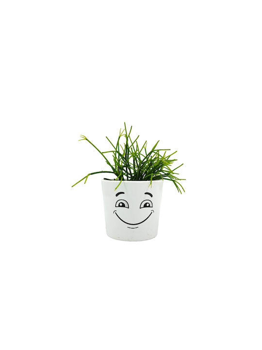 Σύνθεση Rhipsalis Κασπώ Φατσούλα Διπλή Happy Angry