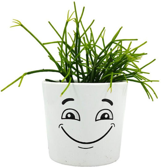 Σύνθεση Rhipsalis Κασπώ Φατσούλα Διπλή Happy Angry