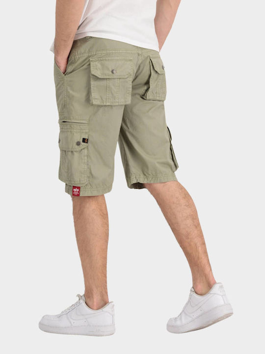 Alpha Industries Men's Swimwear Shorts Brown