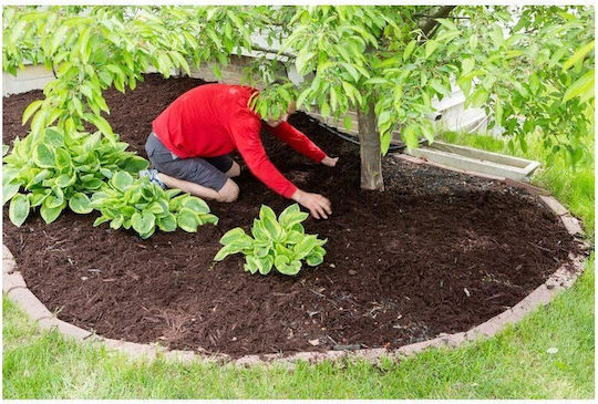 Strend Pro 217472 Țesătură Pentru Acoperirea Solului 100gr/m² 10x2m Neagră