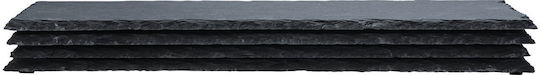 Estia Platou de Servire din Piatră 30x10x2.8buc 4buc Estia Platou de Servire din Piatră 30x10x2.8buc 4buc