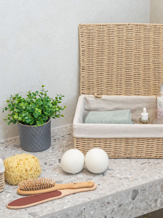 Estia Botanica Wooden Storage Box with Lid Beige 28x20x10cm 1pcs