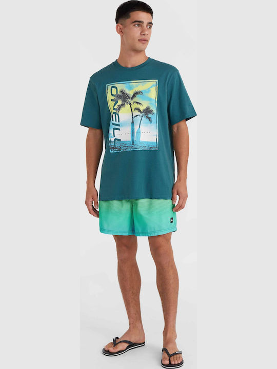 Cali Men's Swimwear Shorts Green Mix
