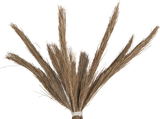 Διακοσμητικο Δεντρο Tropic Hm4324 Τ.φοινικα Mendong Grass 280yεκ