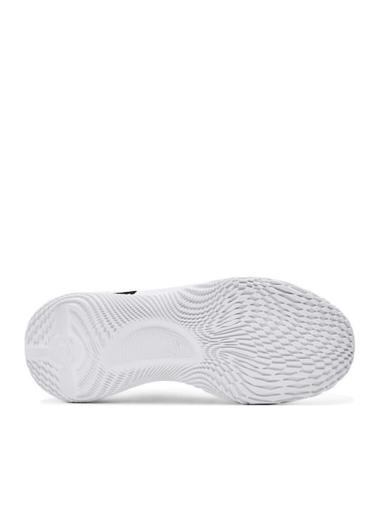 Curry 4 Low Flotro Dw Niedrig Basketballschuhe Mehrfarbig