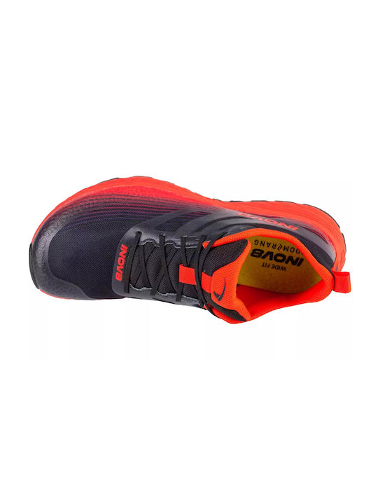 Trailfly Sport Shoes Trail Running Multicolour