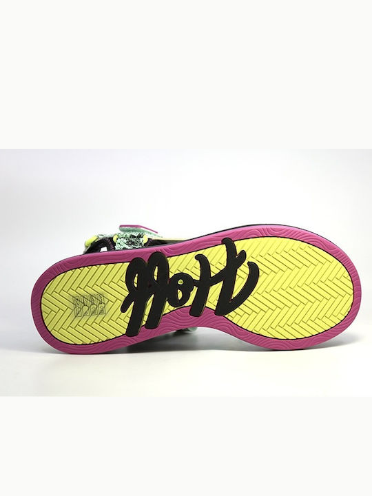 Hoff Hoff