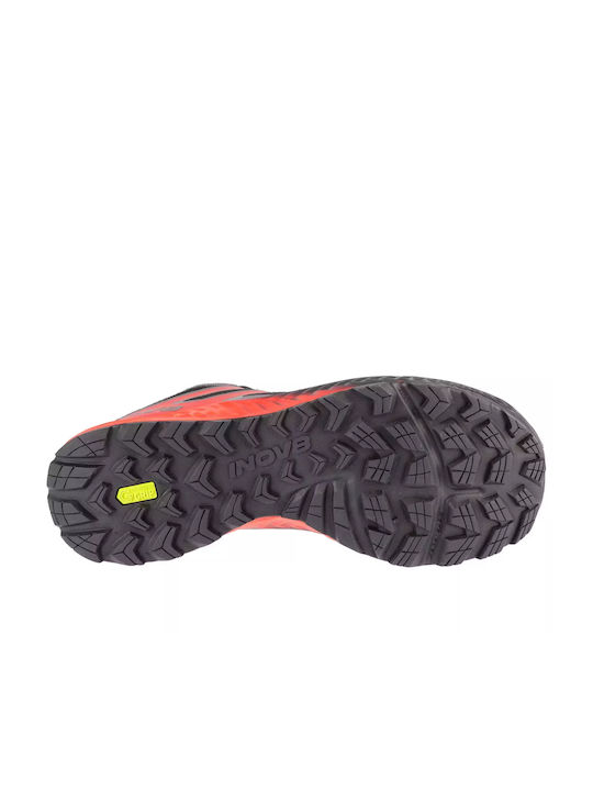 Trailfly Ανδρικά Αθλητικά Παπούτσια Trail Running Πολύχρωμα