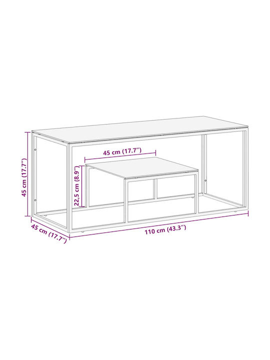 Rectangular Central Glass Coffee Table Silver M110xW45xH45cm