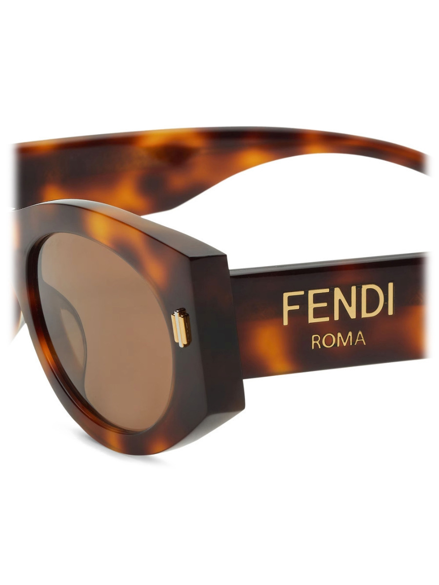 Fendi Women's Sunglasses with Brown Tartaruga Plastic Frame