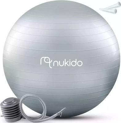 Nukido Exercise Ball Pilates 65cm in Gray Color