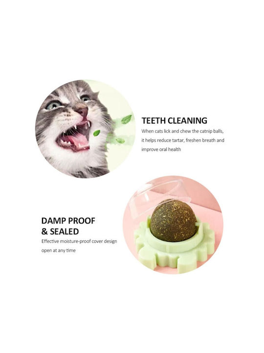 Katzenspielzeug Ball Grün mit Katzenminze