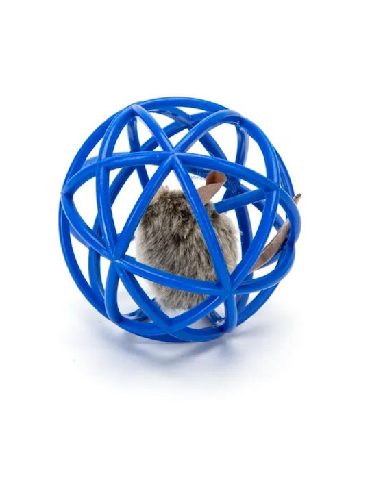Koopman Gray Ball