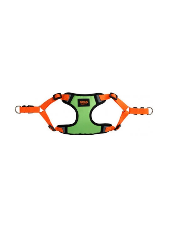 Koopman Orange Groß