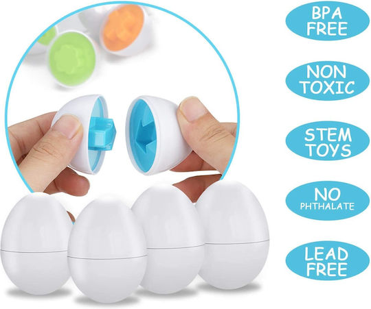 Matching Eggs Montessori Lernspiel Wissen