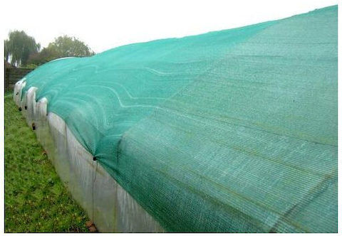 Strend Pro Ορθογώνιο Δίχτυ Σκίασης Πράσινο 2x10m 230gr/m²